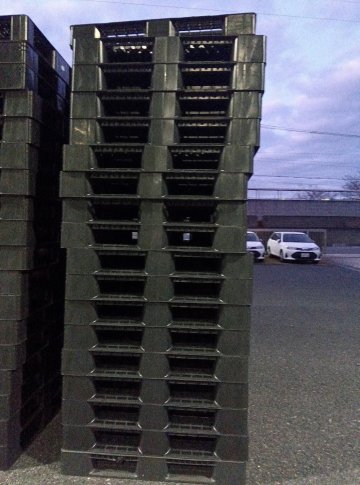 プラスチックパレット