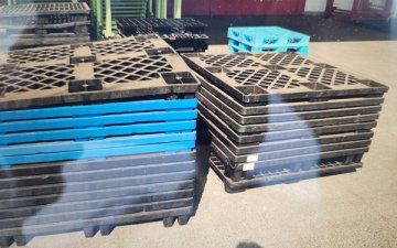 プラスチックゲタパレット