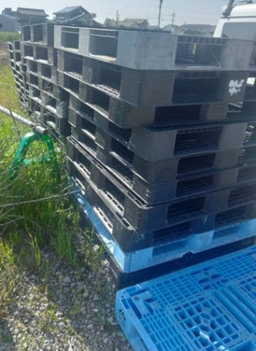 プラスチックパレット