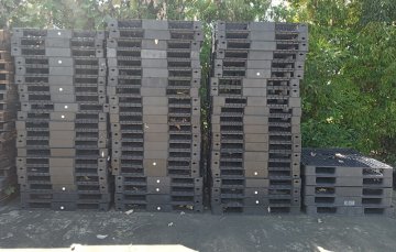 プラスチックパレット