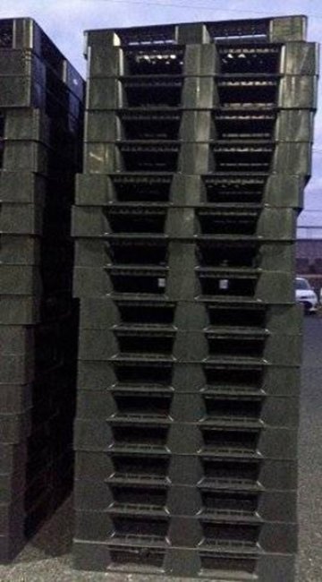 プラスチッパレット