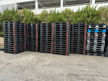プラスチックパレット