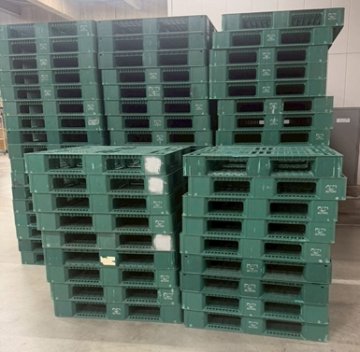 プラスチックパレット
