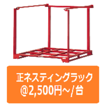 正ネス